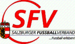 TFV-Logo