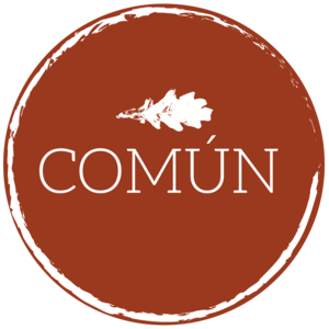 Logo der Stiftung COMÚN